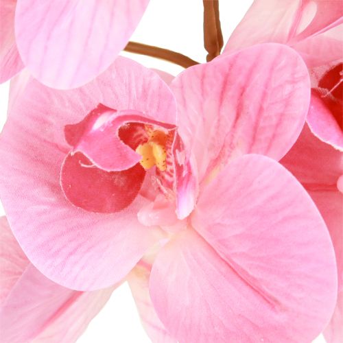 daiktų Dirbtinės Orchidėjos Rožinės Dirbtinės Gėlės Like Real 56cm 3 Vnt