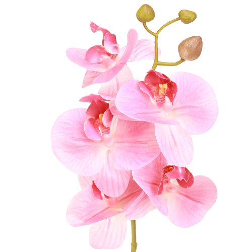 daiktų Dirbtinės Orchidėjos Rožinės Dirbtinės Gėlės Like Real 56cm 3 Vnt