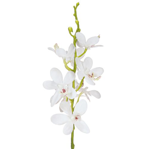 Floristik24 Dirbtinės orchidėjos Baltoji gėlė Ø3,5–5cm L38cm 2vnt.