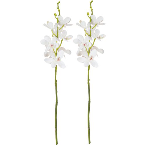 daiktų Dirbtinės orchidėjos Baltoji gėlė Ø3,5–5cm L38cm 2vnt.