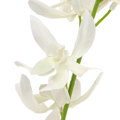 daiktų Dirbtinės orchidėjų šakelės kremas Baltos gėlės L90cm 2vnt
