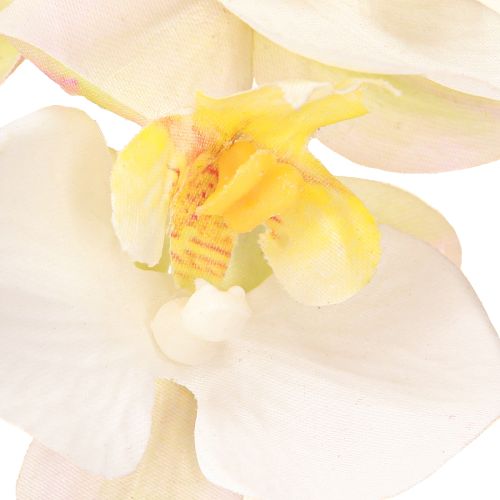 daiktų Dirbtinės orchidėjos vazonėlyje baltos mini orchidėjos Ø7cm H22cm