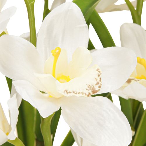 daiktų Dirbtinės orchidėjos vazone su baltomis gėlėmis H80cm