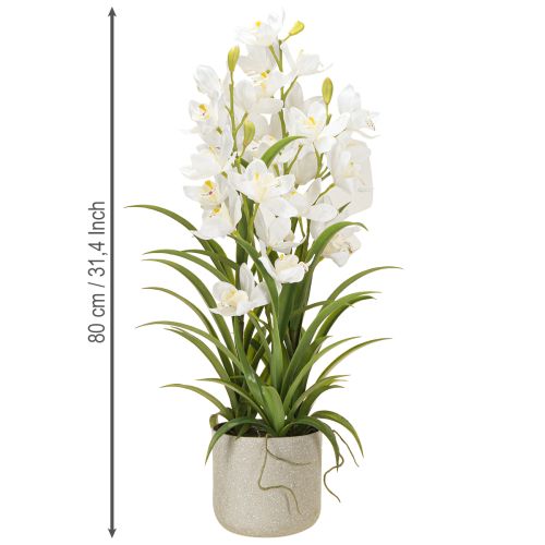 daiktų Dirbtinės orchidėjos vazone su baltomis gėlėmis H80cm