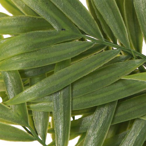 daiktų Dirbtinės palmės lapeliai Dirbtiniai žalieji augalai 56cm 3vnt