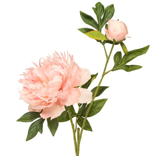 daiktų Dirbtiniai bijūnai Pink Paeonia Salmon L60cm 2vnt
