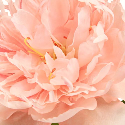 daiktų Dirbtiniai bijūnai Pink Paeonia Salmon L60cm 2vnt