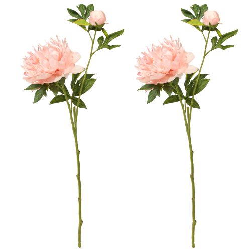 daiktų Dirbtiniai bijūnai Pink Paeonia Salmon L60cm 2vnt