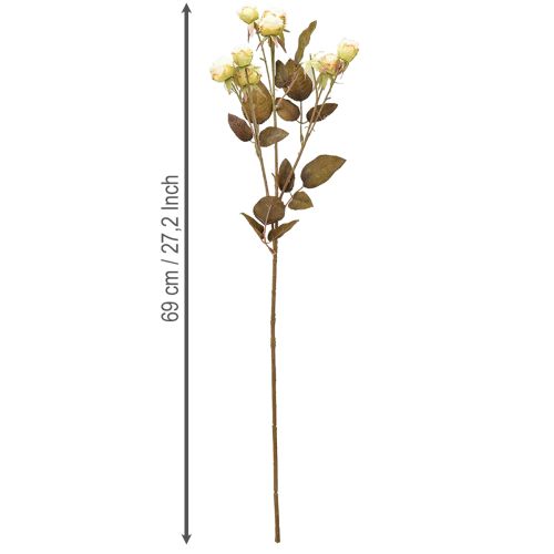 daiktų Dirbtinės rožės nuvytusios Drylook 9 žiedlapių kremas 69cm