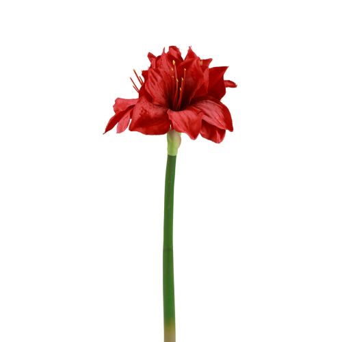 Floristik24 Dirbtinės Amaryllis Kalėdinės gėlės Raudonos Dirbtinės gėlės L40cm