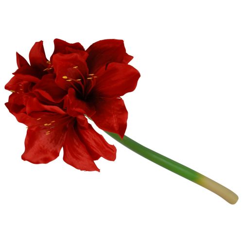 Floristik24 Dirbtinės Amaryllis Kalėdinės gėlės Raudonos Dirbtinės gėlės L40cm