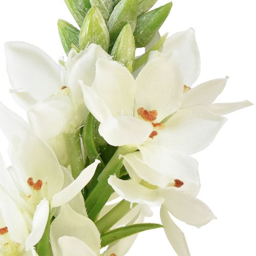 daiktų Dirbtinė gėlių sodas Milk Star Dirbtinė gėlė Balta 50cm