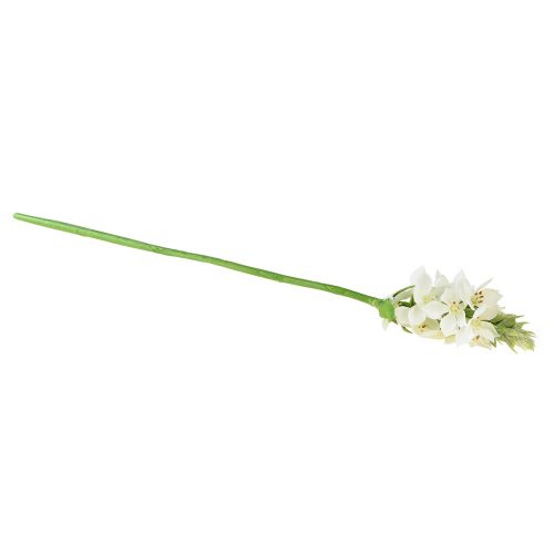 daiktų Dirbtinė gėlių sodas Milk Star Dirbtinė gėlė Balta 50cm