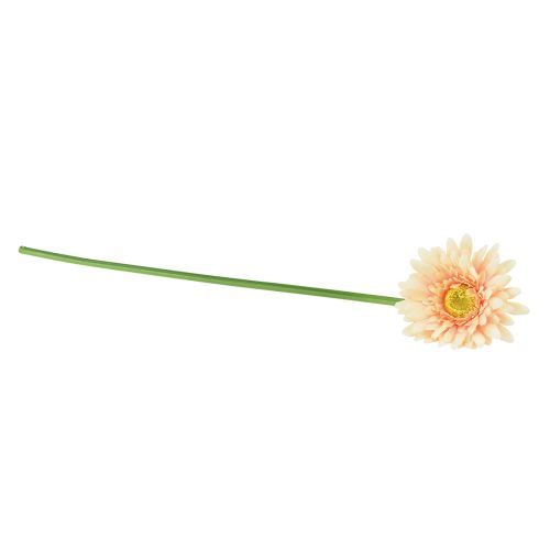 daiktų Dirbtinės gėlės Gerbera Abrikosas 47cm