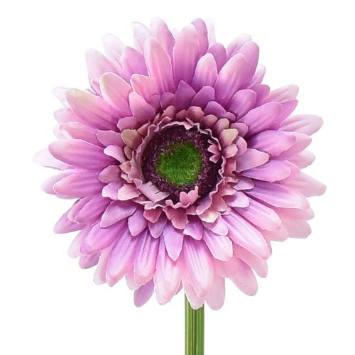 Floristik24 Dirbtinės gėlės Gerbera Violetinė 47cm