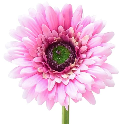 Dirbtinės gėlės Gerbera rožinė 47cm