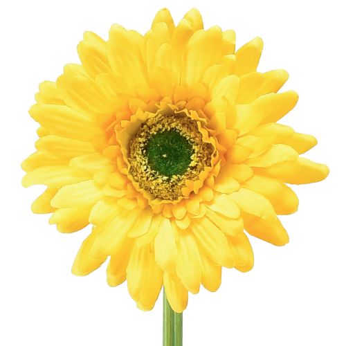 Dirbtinės gėlės gerbera saulėtai geltona 47cm