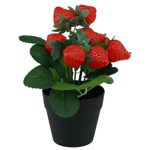daiktų Dirbtinis braškių augalas vazone Dirbtinis augalas 19cm
