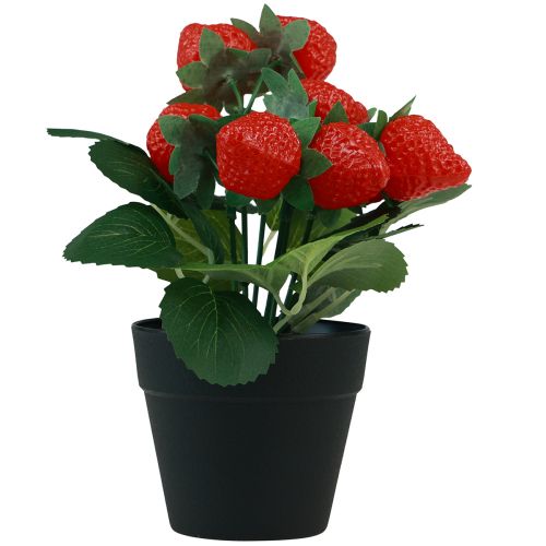 Dirbtinis braškių augalas vazone Dirbtinis augalas 19cm