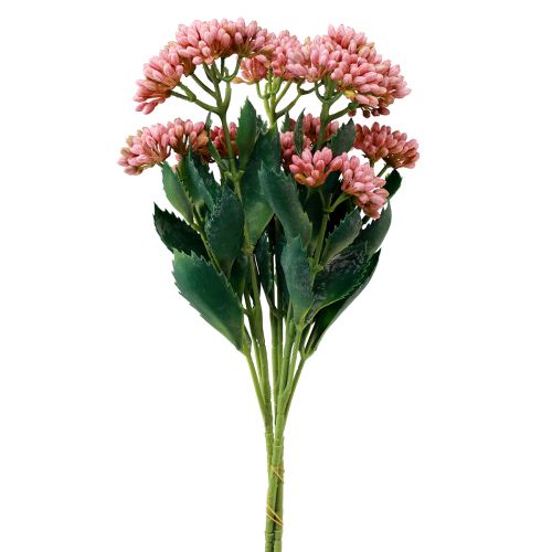 Dirbtinė riebalų višta Sedum Stonecrop žydinti rožinė 47cm 3vnt