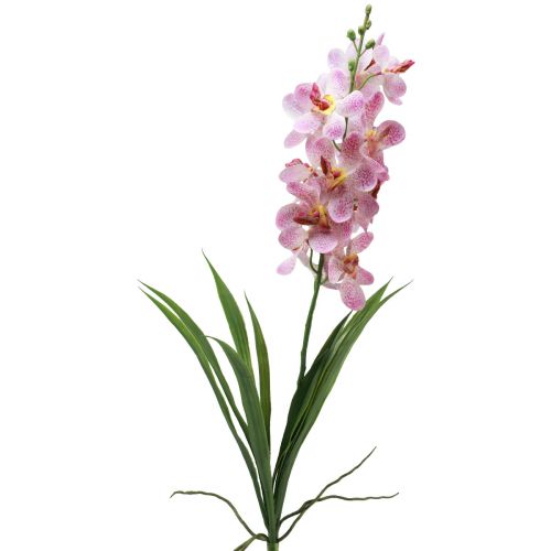 Floristik24 Dirbtinė Orchidėja Rožinė Balta Dirbtinė gėlė Orchidėja 73cm