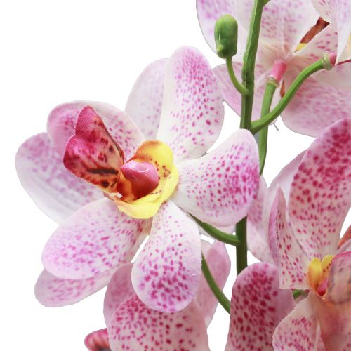 daiktų Dirbtinė Orchidėja Rožinė Balta Dirbtinė gėlė Orchidėja 73cm