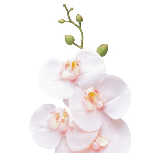 daiktų Dirbtinė Orchid Pink Phalaenopsis Real Touch 83cm