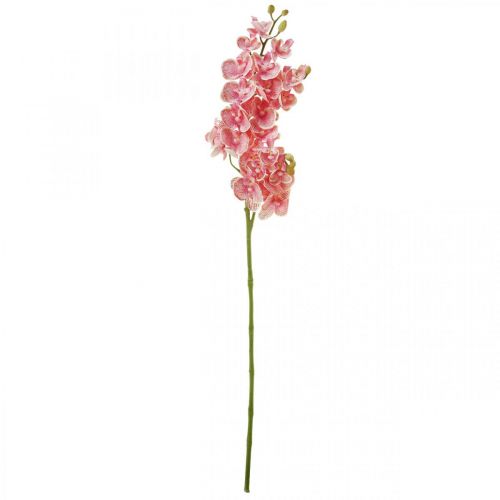 Floristik24 Dirbtinės orchidėjos deco dirbtinių gėlių orchidėja rožinė 71cm