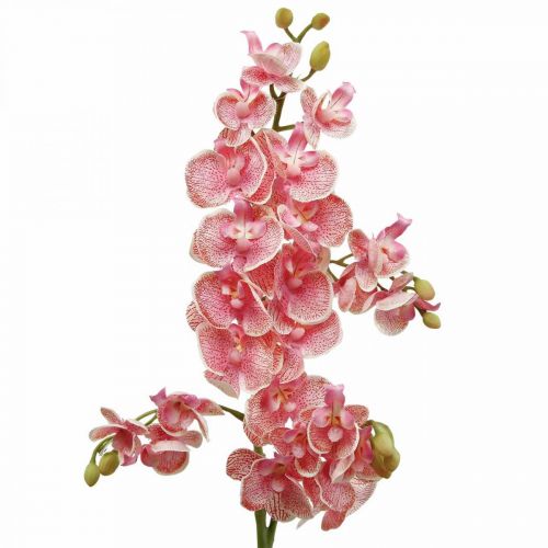 Floristik24 Dirbtinės orchidėjos deco dirbtinių gėlių orchidėja rožinė 71cm