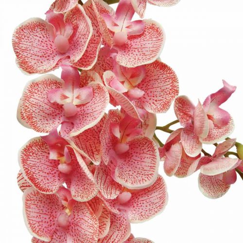 Floristik24 Dirbtinės orchidėjos deco dirbtinių gėlių orchidėja rožinė 71cm