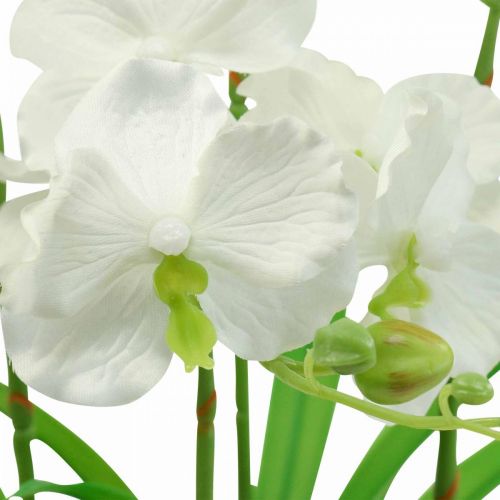 daiktų Dirbtinės orchidėjos dirbtinės gėlės baltame vazone 60cm