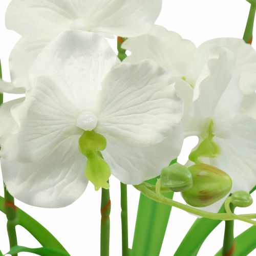 Floristik24 Dirbtinės orchidėjų dirbtinės gėlės vazone baltas 60cm