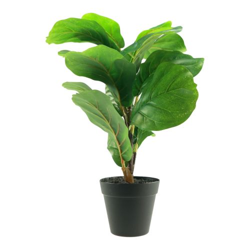daiktų Dirbtinis augalas vazone Fikusas Dirbtinis augalas vazone 42cm