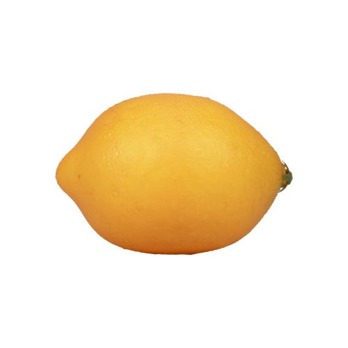 daiktų Dirbtinės citrininės dekoratyvinės maistinės manekenės, oranžinės 8,5 cm