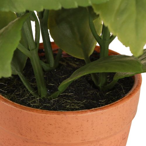 daiktų Dirbtinis bazilikas vazonėlyje Žolelių vazonas Dirbtinis augalas 22cm 2vnt