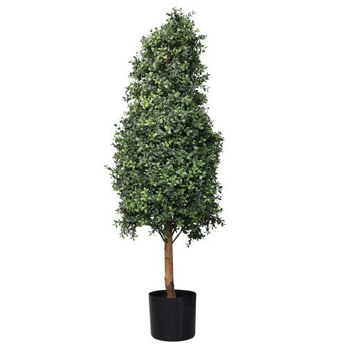 daiktų Dirbtinis buksmedis vazone Box dirbtinis augalas H120cm