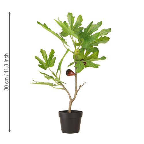 daiktų Dirbtinis figmedis vazone Dirbtinis augalas su vaisiais 40cm