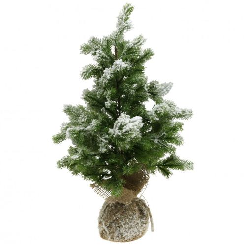 Floristik24 Dirbtinė mini Kalėdų eglutė maiše Snowy Ø32cm H55cm