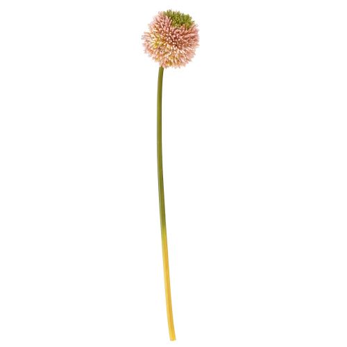 daiktų Dirbtinis aliuminis dekoratyvinis česnakas rožinis žalias Ø10cm L65cm