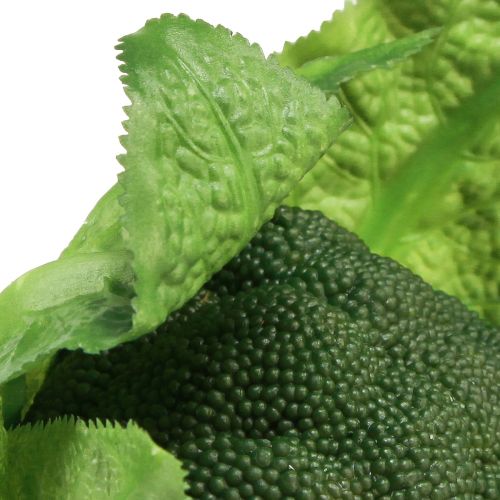 daiktų Dirbtinė brokolių daržovių puošmena žalia Ø12cm H15cm