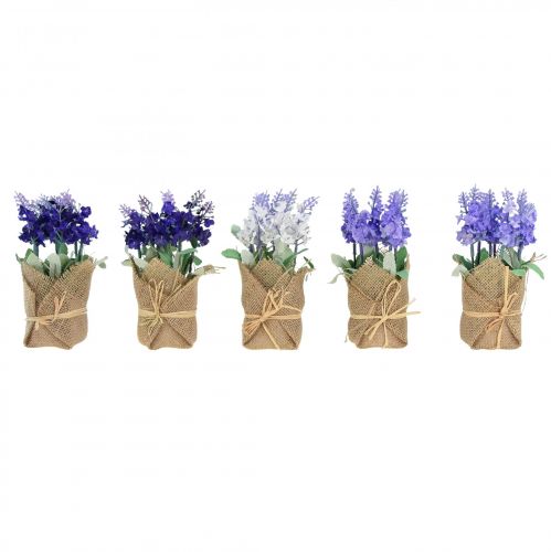Floristik24 Dirbtinės levandos levandos dirbtinės gėlės džiuto maišelyje balta/violetinė/mėlyna 17cm 5vnt