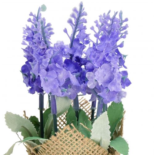 Floristik24 Dirbtinės levandos levandos dirbtinės gėlės džiuto maišelyje balta/violetinė/mėlyna 17cm 5vnt