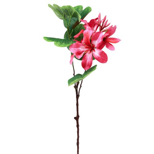 daiktų Dirbtinė orchidėjos šakelė Bauhinia Pink dirbtinis augalas 62cm