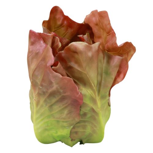 daiktų Dekoratyvinės daržovės iš dirbtinių salotų galvučių 14cm