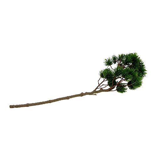 Floristik24 Dirbtinė eglės šaka, pušies šaka 62cm