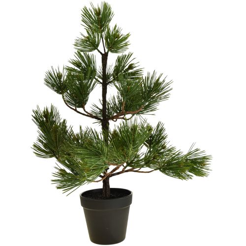 Floristik24 Dirbtinė eglutė mažas staliukas Kalėdų eglutė H52cm