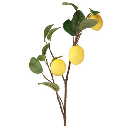 Floristik24 Dirbtinė citrinos šakelė dekoratyvinė šakelė su 3 geltonomis citrinomis 65cm