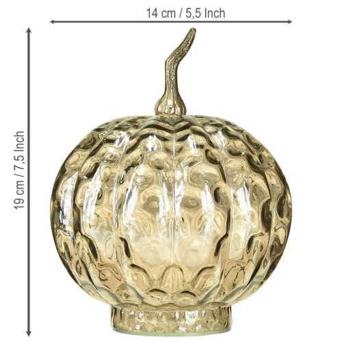 daiktų Moliūgo dekoracija stiklinė stiklinė moliūgų stalo dekoracija rudeninė Ø14cm A19cm
