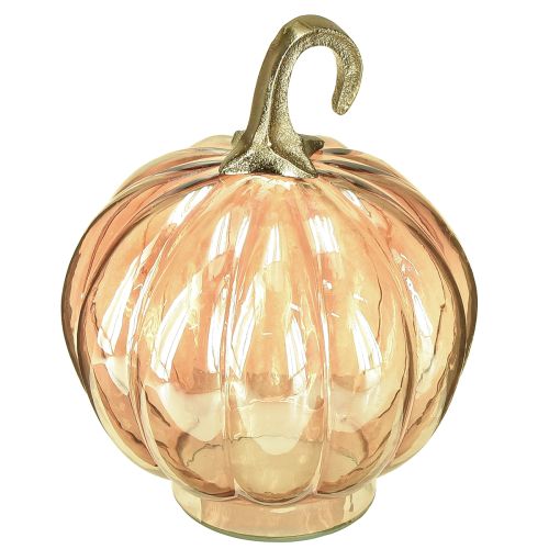 Floristik24 Moliūgo dekoracija stiklinė stiklinė moliūgų stalo dekoracija oranžinė Ø14cm A18cm