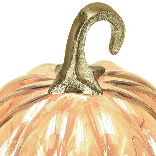 daiktų Moliūgo dekoracija stiklinė stiklinė moliūgų stalo dekoracija oranžinė Ø14cm A18cm
